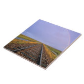 Regenboog over het spoor nabij Fairfield Tegeltje (Zijkant)