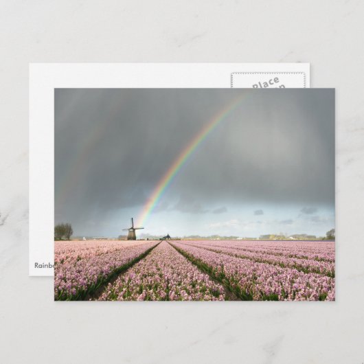 Regenboog over hyacinths en een windmolen in Neder Briefkaart (Voorkant / Achterkant)