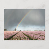 Regenboog over hyacinths en een windmolen in Neder Briefkaart (Voorkant)
