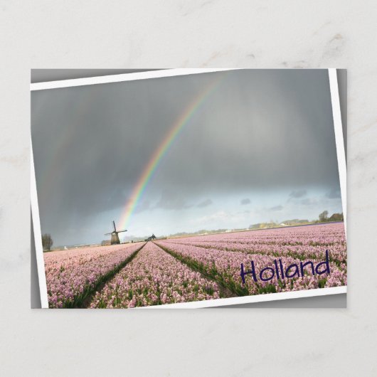 Regenboog over hyacinths en een windmolen in Neder Briefkaart (Voorkant)