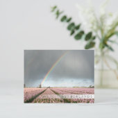 Regenboog over hyacinths en een windmolen in Neder Briefkaart (Staand voorkant)