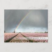 Regenboog over hyacinths en een windmolen in Neder Briefkaart (Voorkant)