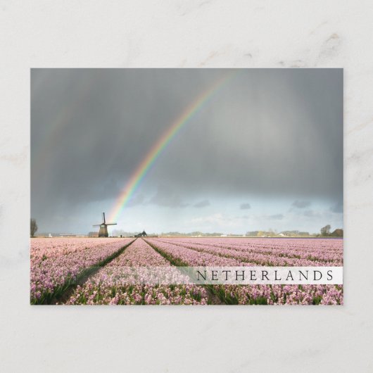 Regenboog over hyacinths en een windmolen in Neder Briefkaart (Voorkant)