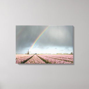 Regenboog over hyacinths en een windmolen in Neder Canvas Afdruk
