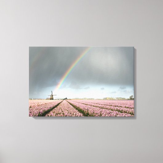 Regenboog over hyacinths en een windmolen in Neder Canvas Afdruk (Voorkant)