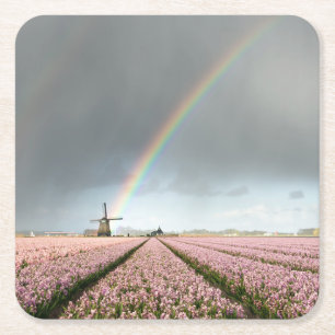 Regenboog over hyacinths en een windmolen in Neder Kartonnen Onderzetters