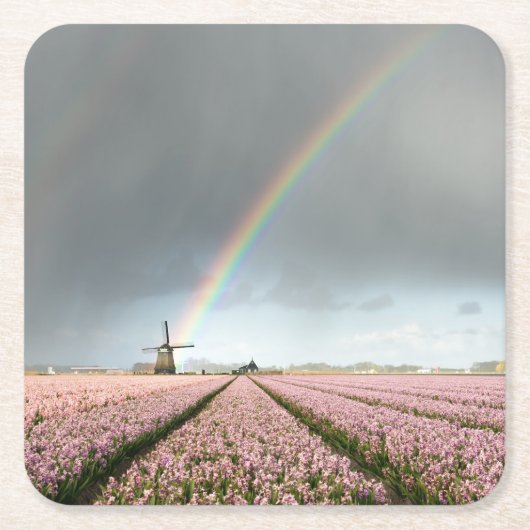 Regenboog over hyacinths en een windmolen in Neder Kartonnen Onderzetters (Voorkant)