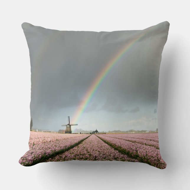 Regenboog over hyacinths en een windmolen in Neder Kussen (Voorkant)
