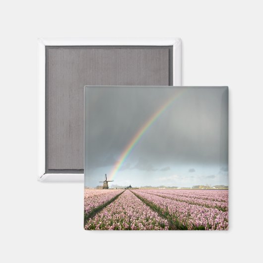 Regenboog over hyacinths en een windmolen in Neder Magneet (Voorkant / Achterkant)