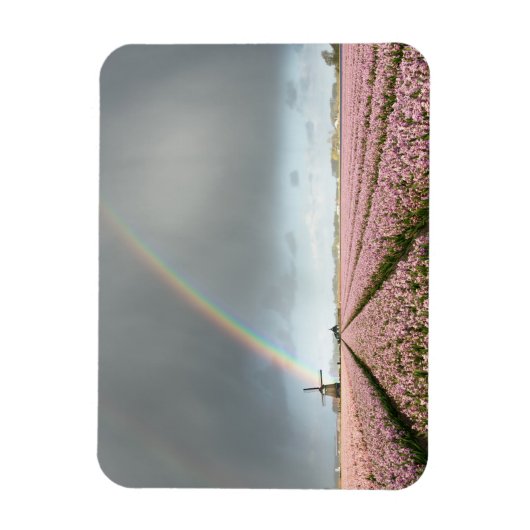 Regenboog over hyacinths en een windmolen in Neder Magneet (Verticaal)