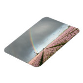 Regenboog over hyacinths en een windmolen in Neder Magneet (Linkerzijde)