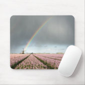 Regenboog over hyacinths en een windmolen in Neder Muismat (Met muis)