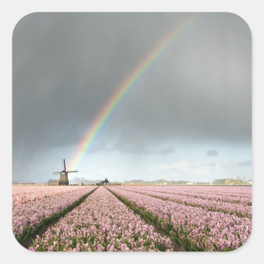 Regenboog over hyacinths en een windmolen in Neder Vierkante Sticker (Voorkant)
