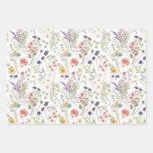 Regenboog Pastels Waterverf Wilde Bloemenweide Inpakpapier Vel (Voorkant)