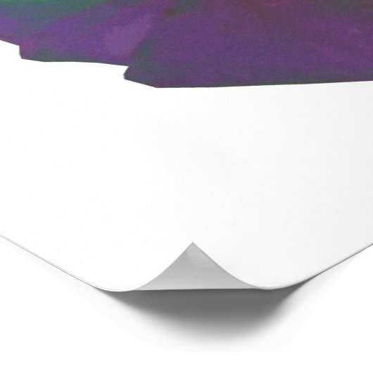 Regenboog Petunia Poster (Hoek)