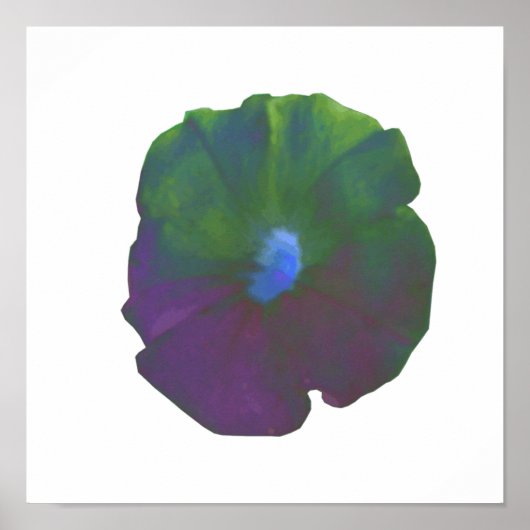 Regenboog Petunia Poster (Voorkant)