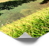 Regenboog Poster (Hoek)