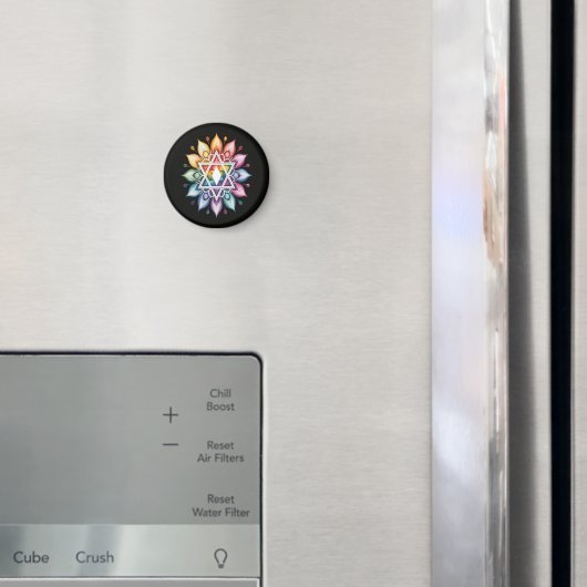 Regenboog Pride LGBT Magneet (Insitu (Koelkast))