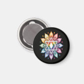 Regenboog Pride LGBT Magneet (Voorkant / Achterkant)