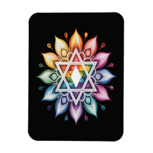 Regenboog Pride LGBT Magneet