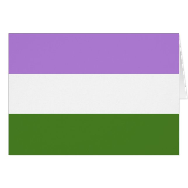 Regenboog Pride Vlag (Voorkant Horizontaal)