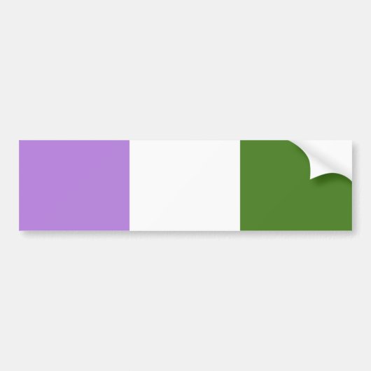 Regenboog Pride Vlag Bumpersticker (Voorkant)