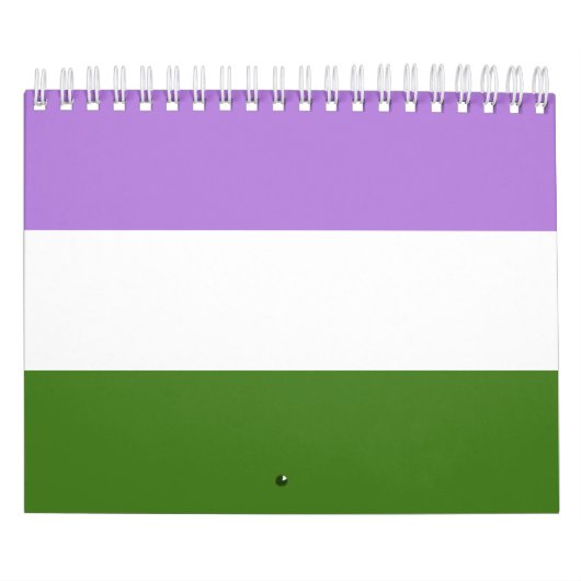 Regenboog Pride Vlag Kalender (Hoes)