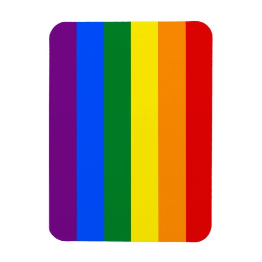 Regenboog Pride Vlag Magneet (Verticaal)