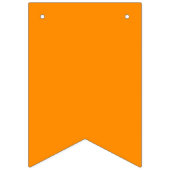 Regenboog Pride Wimpel Slinger Banner (Tweede vlag)