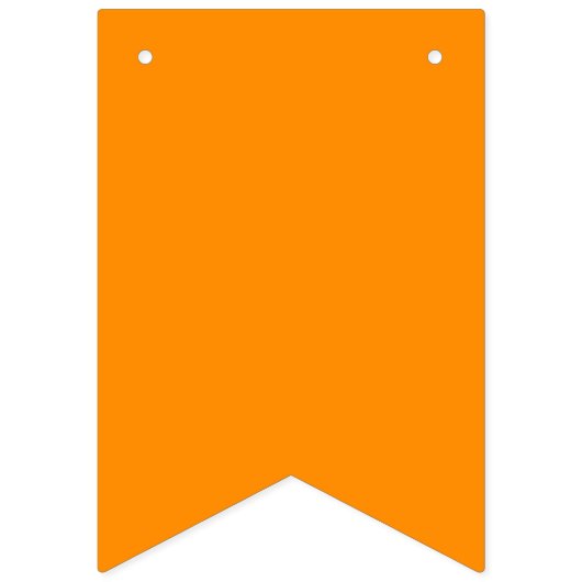 Regenboog Pride Wimpel Slinger Banner (Tweede vlag)