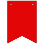 Regenboog Pride Wimpel Slinger Banner (Eerste vlag)