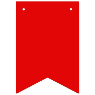 Regenboog Pride Wimpel Slinger Banner