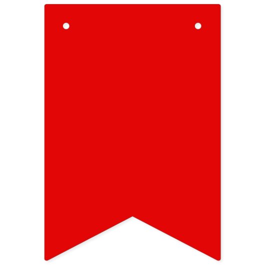 Regenboog Pride Wimpel Slinger Banner (Zestiende vlag)