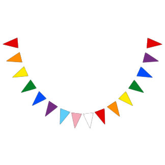 Regenboog Pride Wimpel Slinger Banner