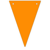 Regenboog Pride Wimpel Slinger Banner (Tweede vlag)