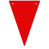 Regenboog Pride Wimpel Slinger Banner (Eerste vlag)