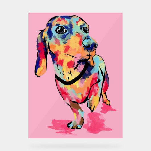 Regenboog Pup Acryl Bord (Voorkant)