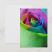 Regenboog Roos 5 Kaart (Voorkant / Achterkant)