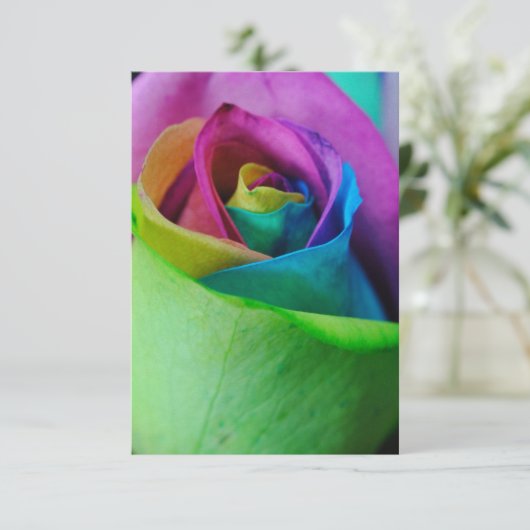 Regenboog Roos 5 Kaart (Staand voorkant)