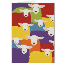 Regenboog | Schapen | overlappend ontwerp