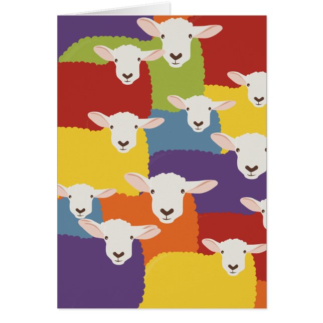 Regenboog | Schapen | overlappend ontwerp (Voorkant)