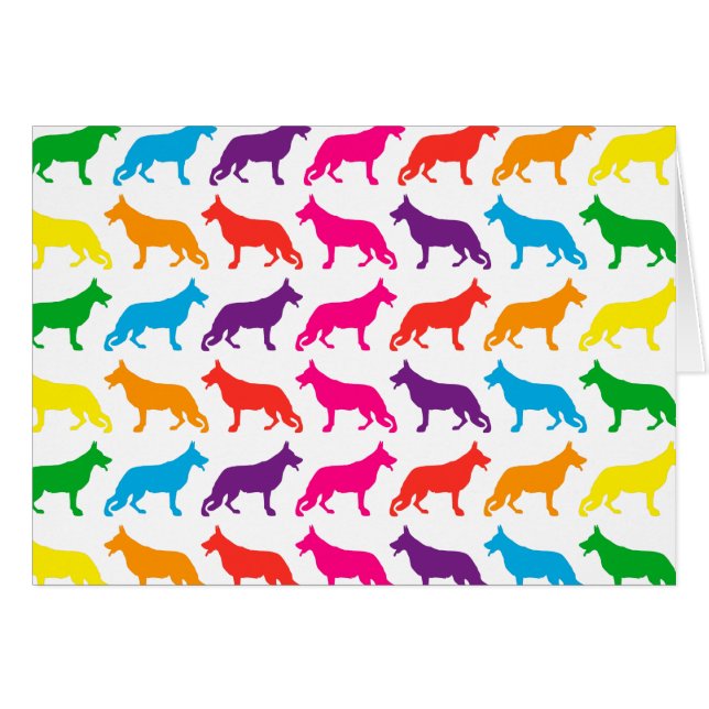 Regenboog Schapendoes (Voorkant Horizontaal)