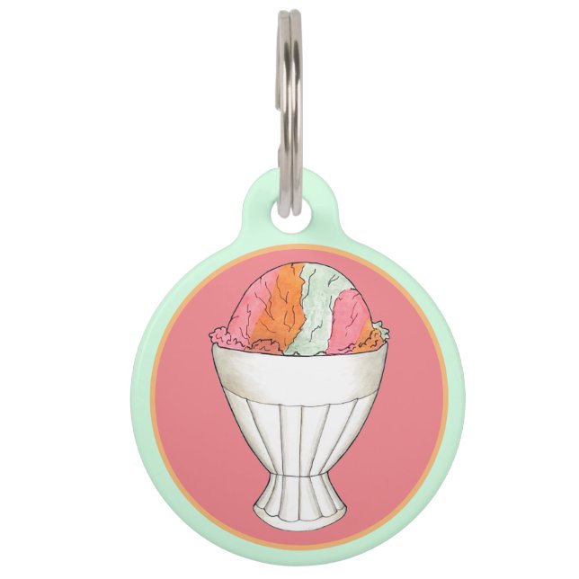 Regenboog Sherbet Ice Cream Sorbet Dessert Scoop Huisdierpenning (Voorkant)