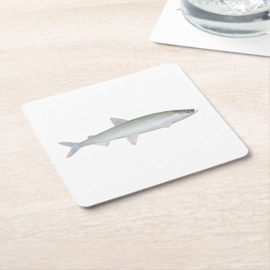 Regenboog Smelt Kartonnen Onderzetters (Schuin)