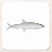 Regenboog Smelt Kartonnen Onderzetters (Voorkant)