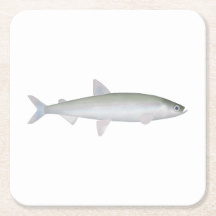 Regenboog Smelt Kartonnen Onderzetters