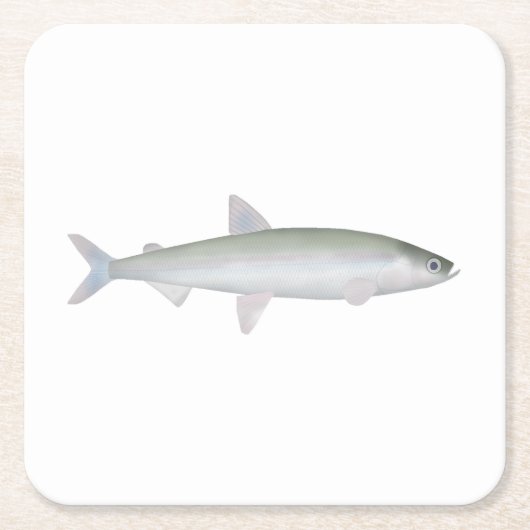 Regenboog Smelt Kartonnen Onderzetters (Voorkant)