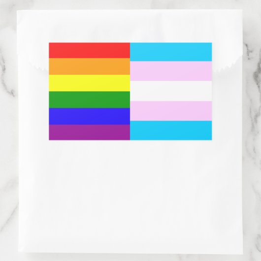 Regenboog/trans pride vlaggen sticker (Tas)