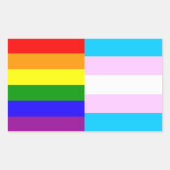 Regenboog/trans pride vlaggen sticker (Voorkant)