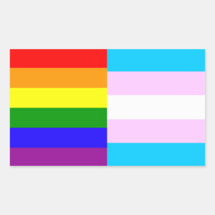 Regenboog-/transpridevlaggen Rechthoekige Sticker